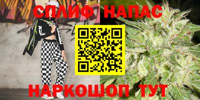 индика Бузулук