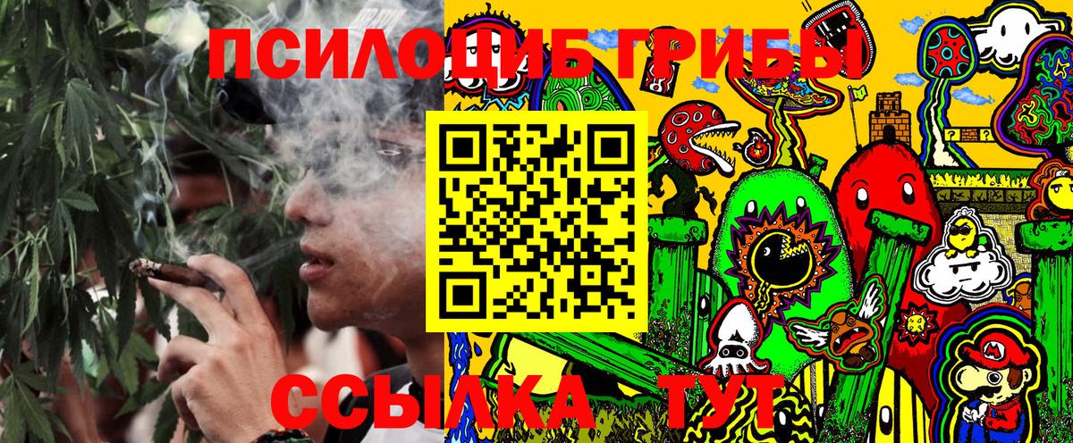 Псилоцибиновые грибы Magic Shrooms Балтийск